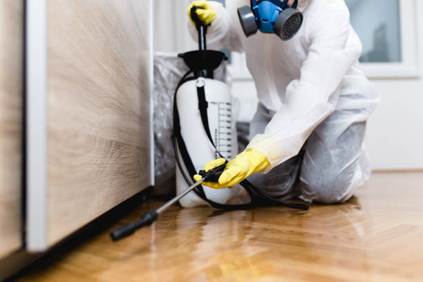 Best Cockroach Control Services  in Grayslake, IL