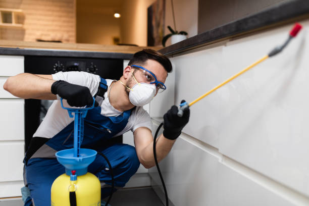 Best Cockroach Control Services  in Grayslake, IL