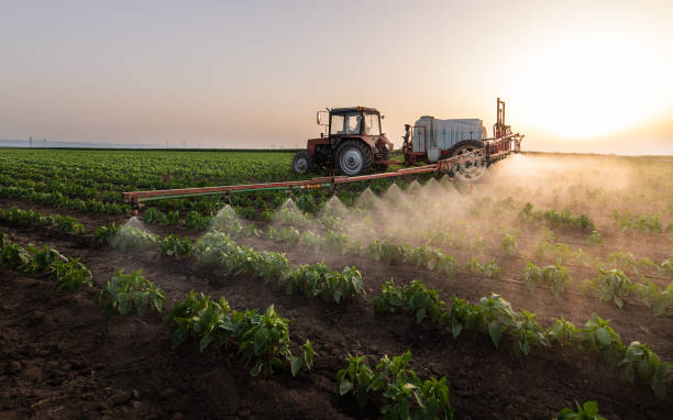 Best Pest Removal Services  in Grayslake, IL
