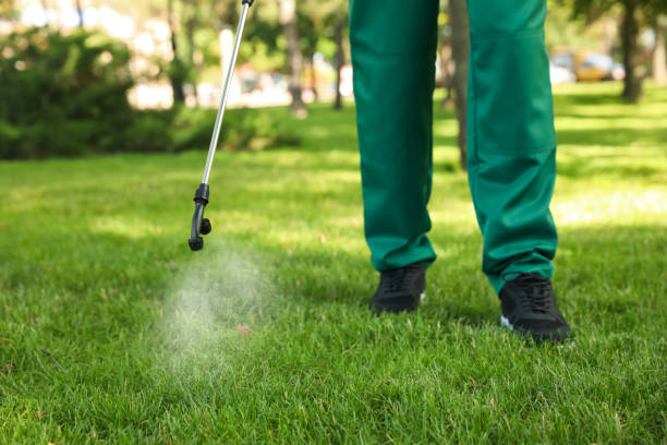 Best Best Pest Control Companies  in Grayslake, IL