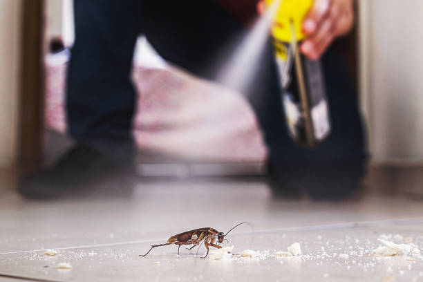 Best Commercial Pest Control Services  in Grayslake, IL