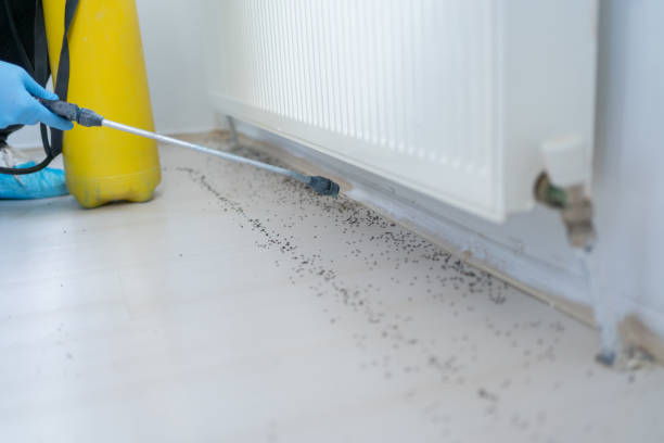 Best Best Pest Control Companies  in Grayslake, IL