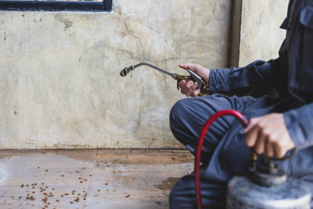 Best Affordable Pest Control Services  in Grayslake, IL